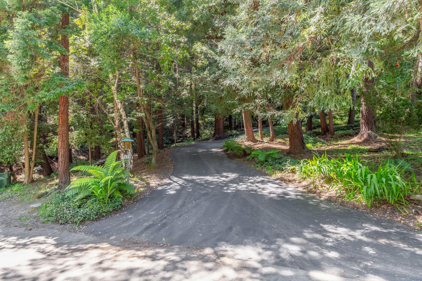 573 Patrol Road Woodside, CA 94062 - Photo 18 of 18 a view of a yard with plants and trees