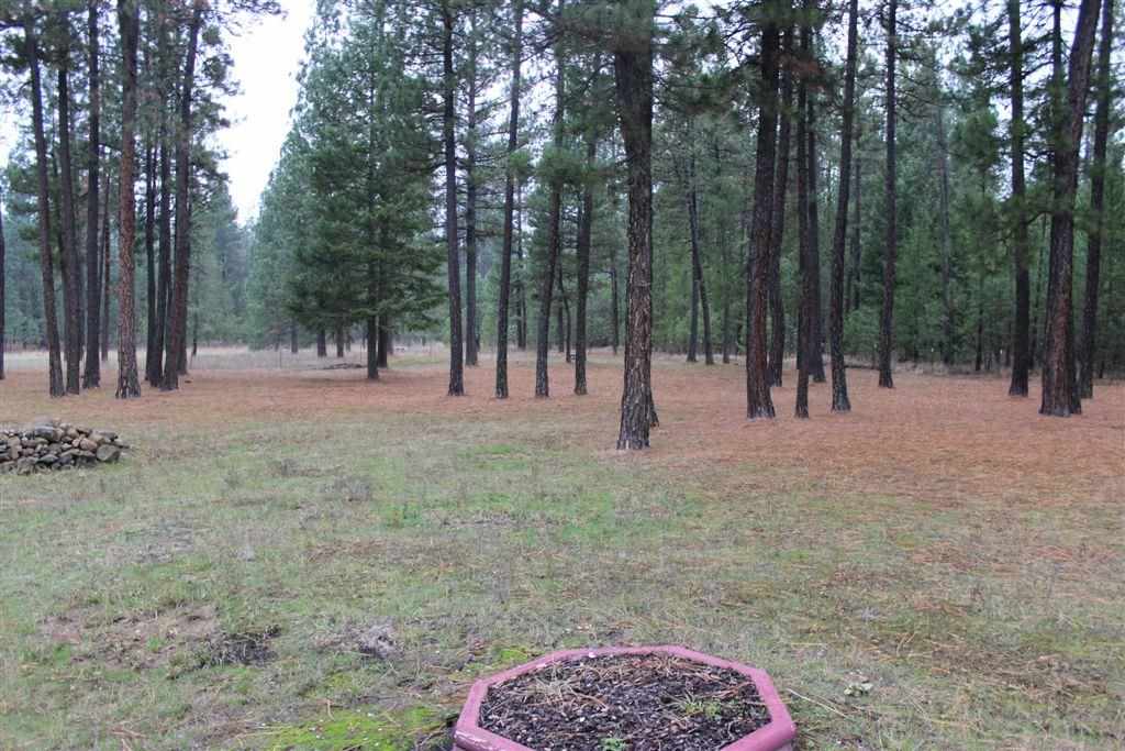 4413 A Drum Road Springdale, WA 99173 - Photo 14 of 20