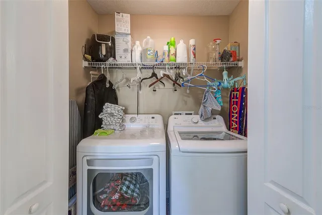 a view of backyard with potted plants