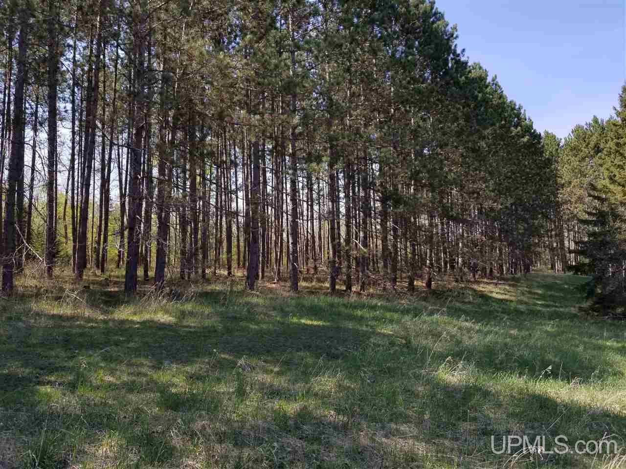 Tbd South Menominee Co Line Road Bark River, MI 49807 - Photo 7 of 13