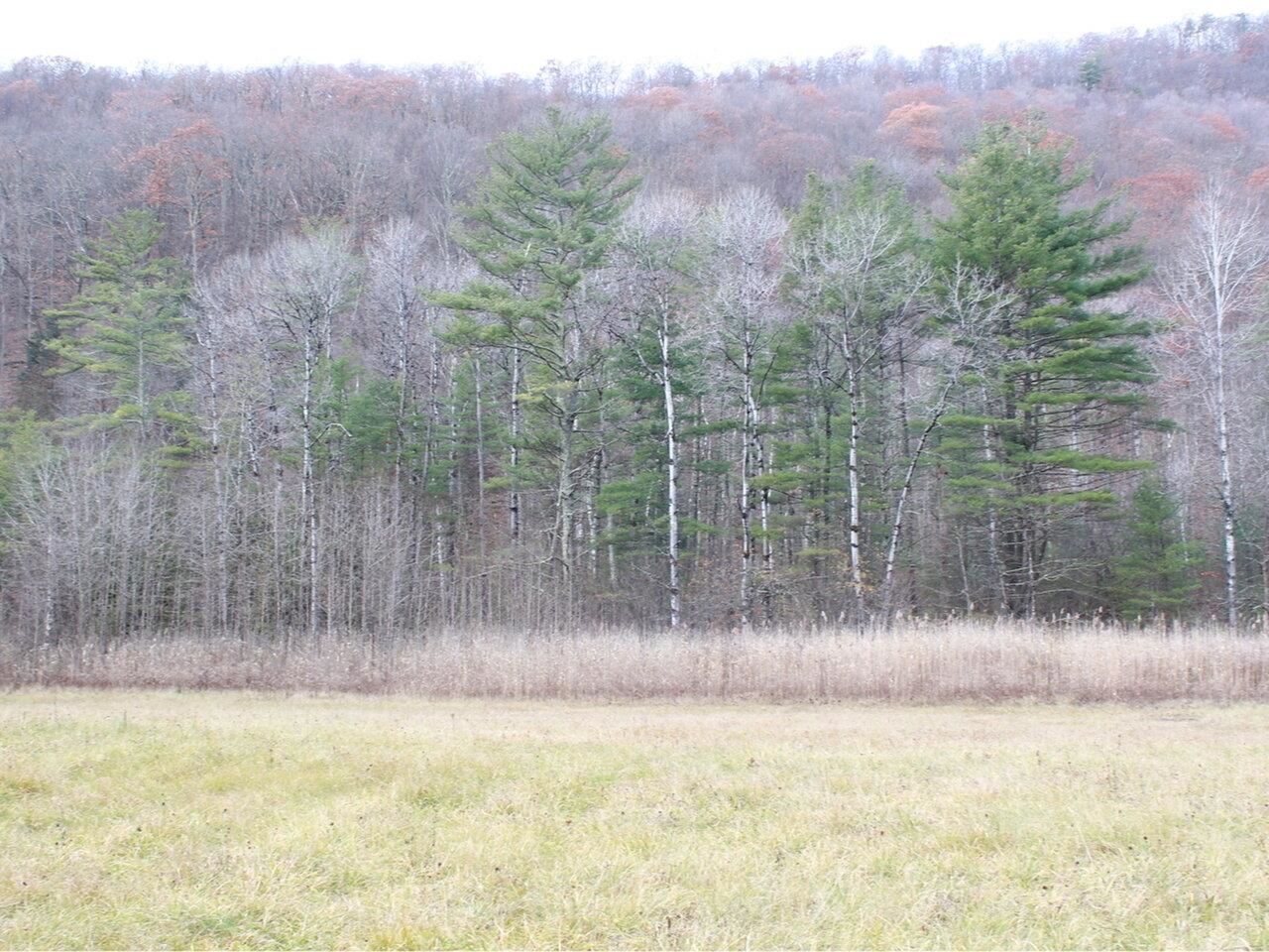 85 West Street Proctor, VT 05765 - Photo 1 of 12 Gallery Image 1