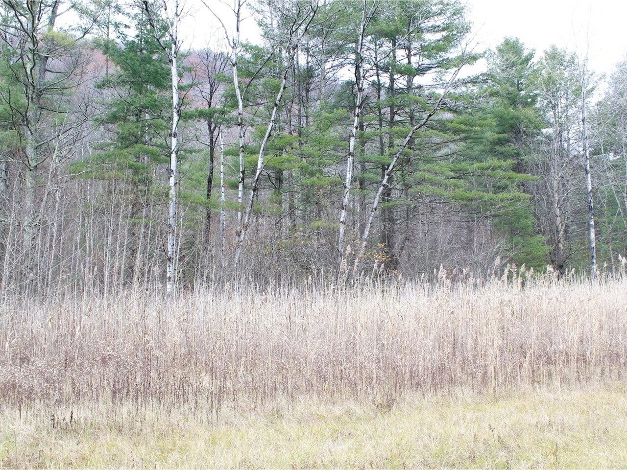 85 West Street Proctor, VT 05765 - Photo 12 of 12 Gallery Image 12