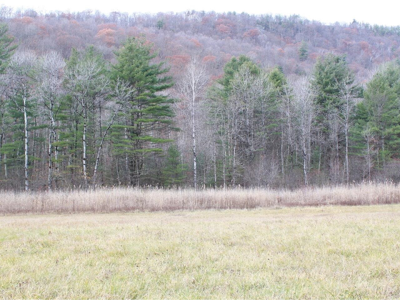 85 West Street Proctor, VT 05765 - Photo 7 of 12 Gallery Image 7