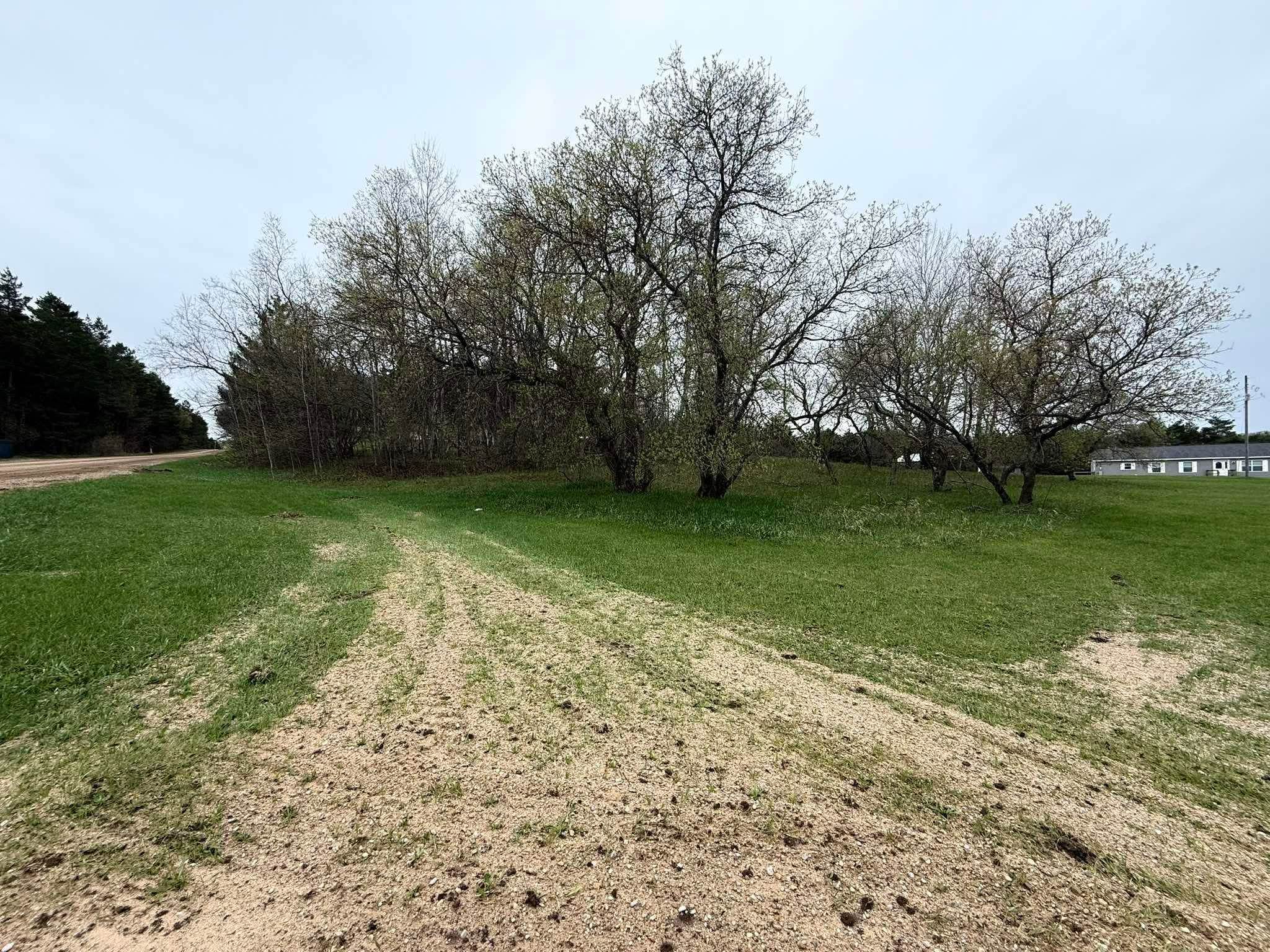 5651 North Seeley Road Manton, MI 49663 - Photo 18 of 49