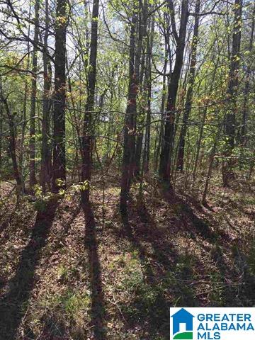 1331 Cedar Creek Road, Unit 4 ACRES Odenville, AL 35120 - Photo 16 of 20