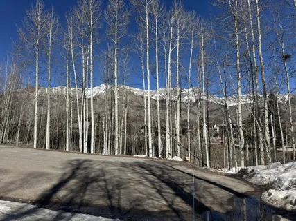 a view of wooden fence