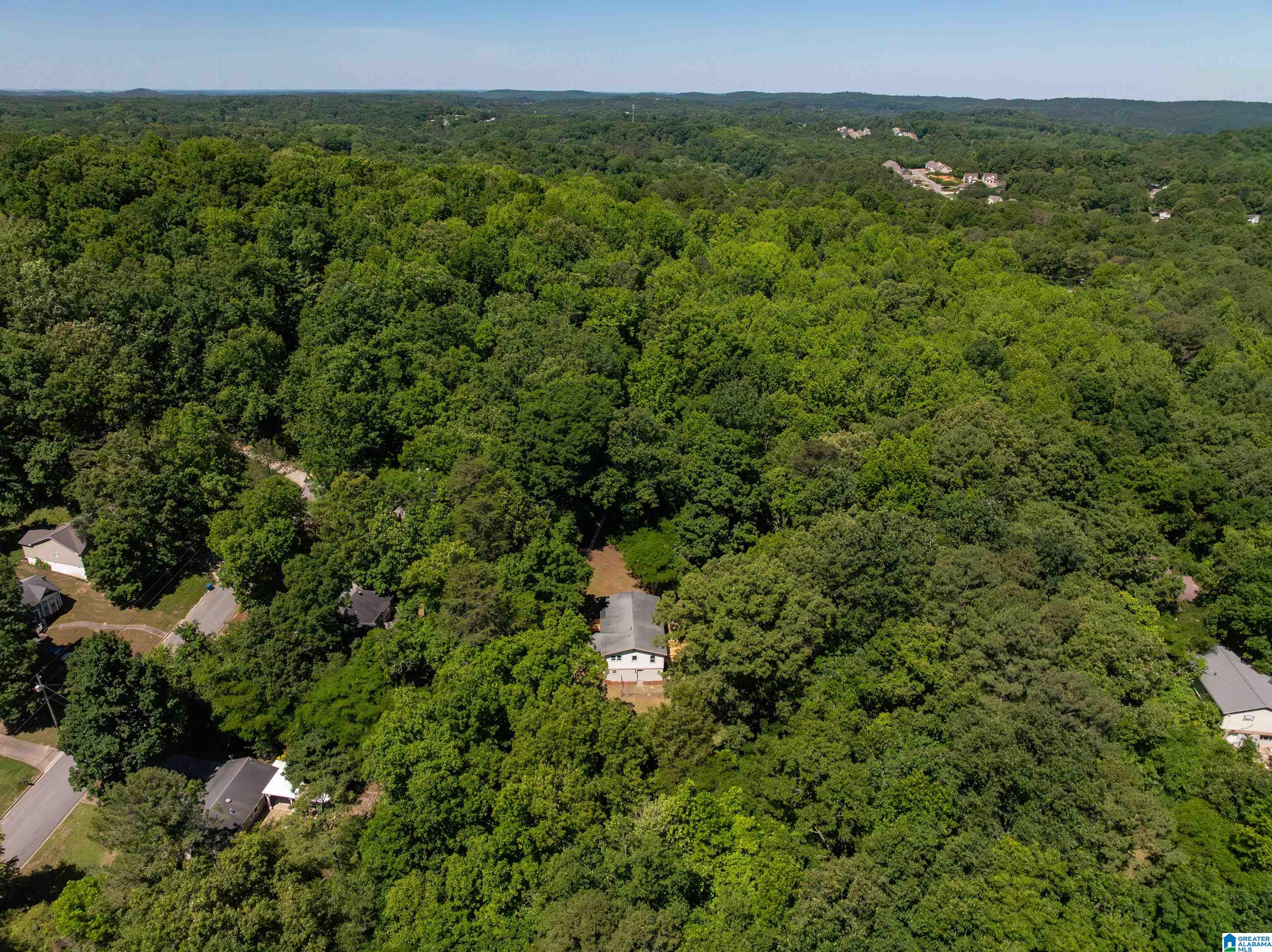 5162 Willow Ridge Lane Pinson, AL 35126 - Photo 31 of 36