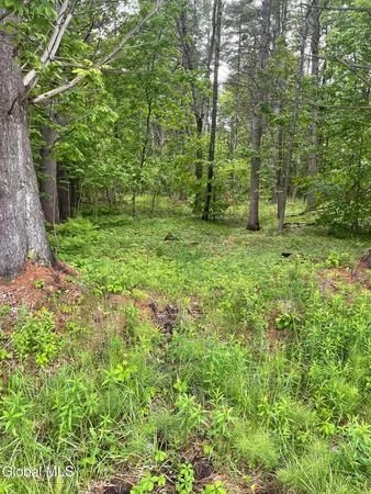 $50,000 | 2447 Highway 28, Johnsburg, NY 12886
