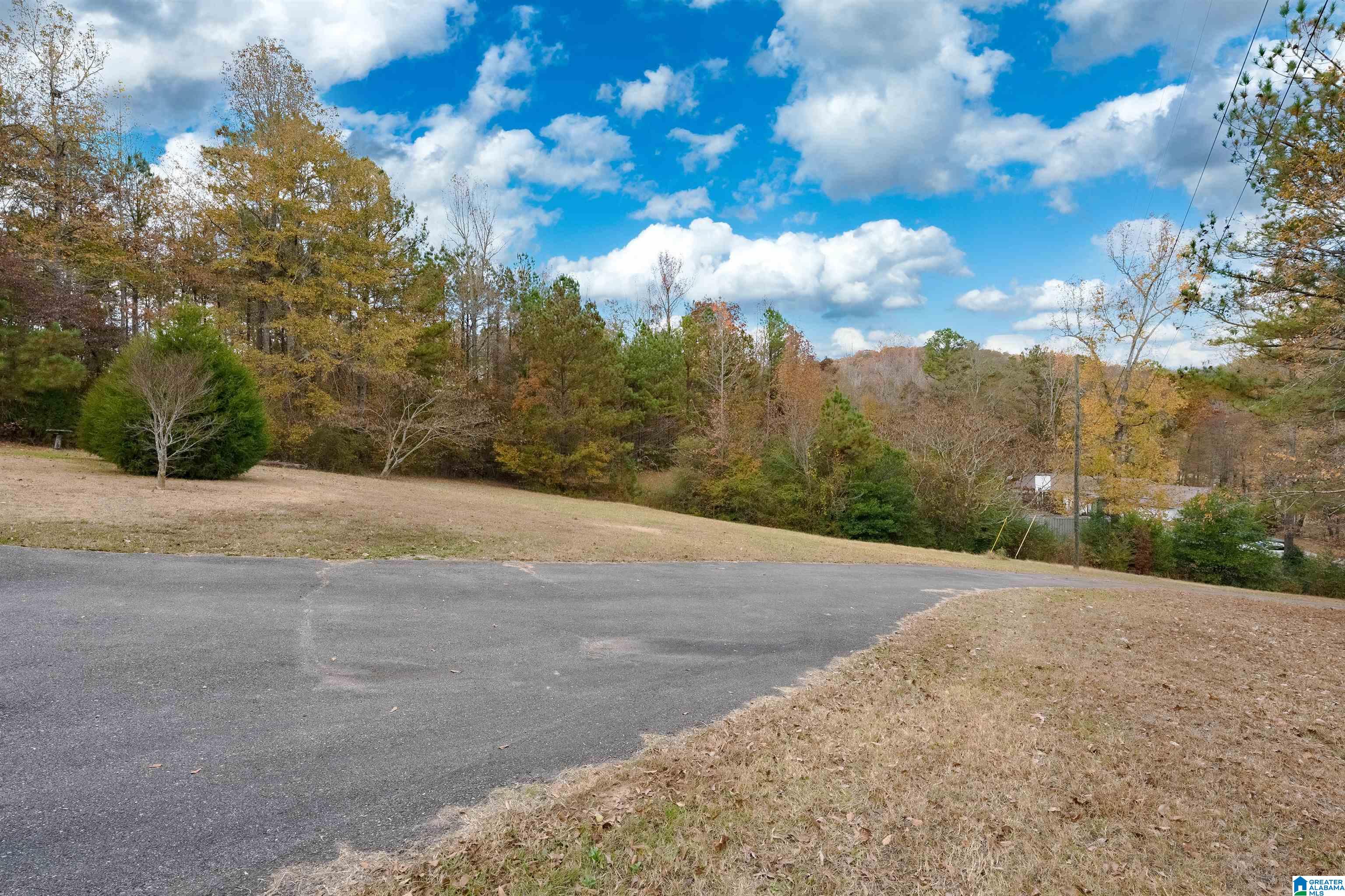 665 Cross Street Springville, AL 35146 - Photo 2 of 22