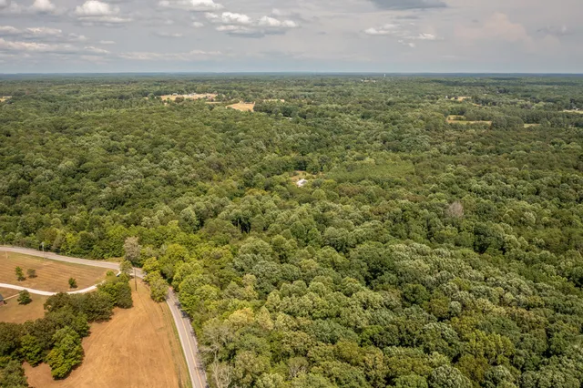 an aerial view of residential houses with outdoor space and trees