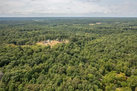 an aerial view of forest