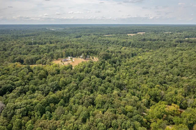 an aerial view of forest