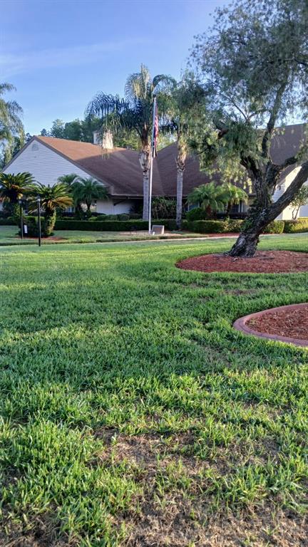 9026 Severn Lane New Port Richey, FL 34655 - Photo 54 of 62
