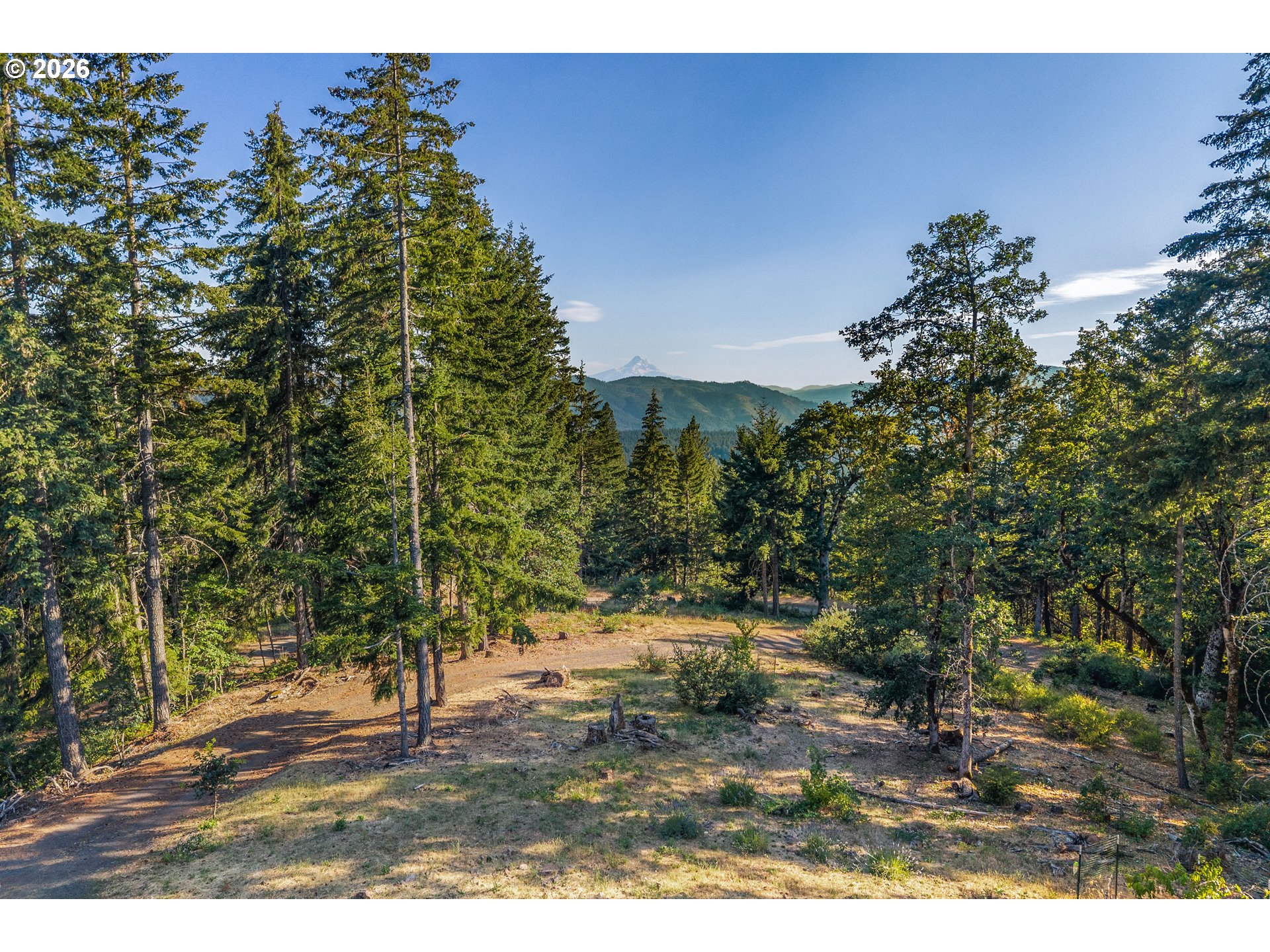 244 Lyons Road White Salmon, WA 98672 - Photo 41 of 48 Gallery Image 41