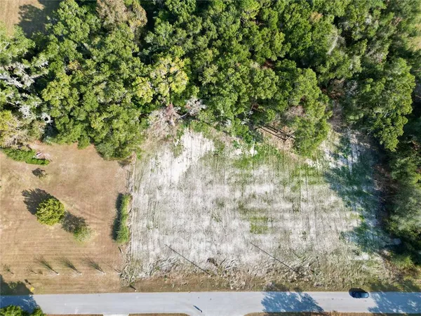 an aerial view of a house with a yard and lake view