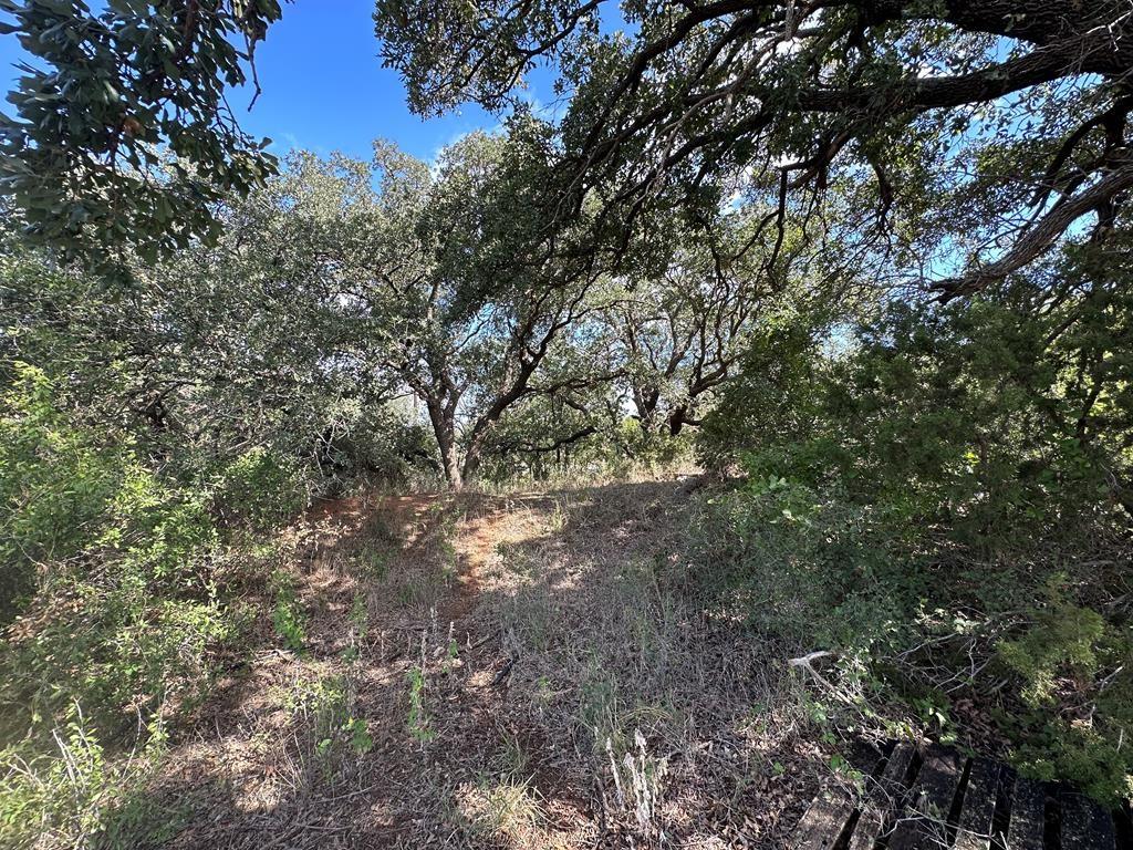 5472 Fm-126 Merkel, TX 79536 - Photo 22 of 22 View of landscape