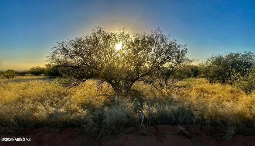 36.10 Acres Street St. David, AZ 85630 - Photo 8 of 21