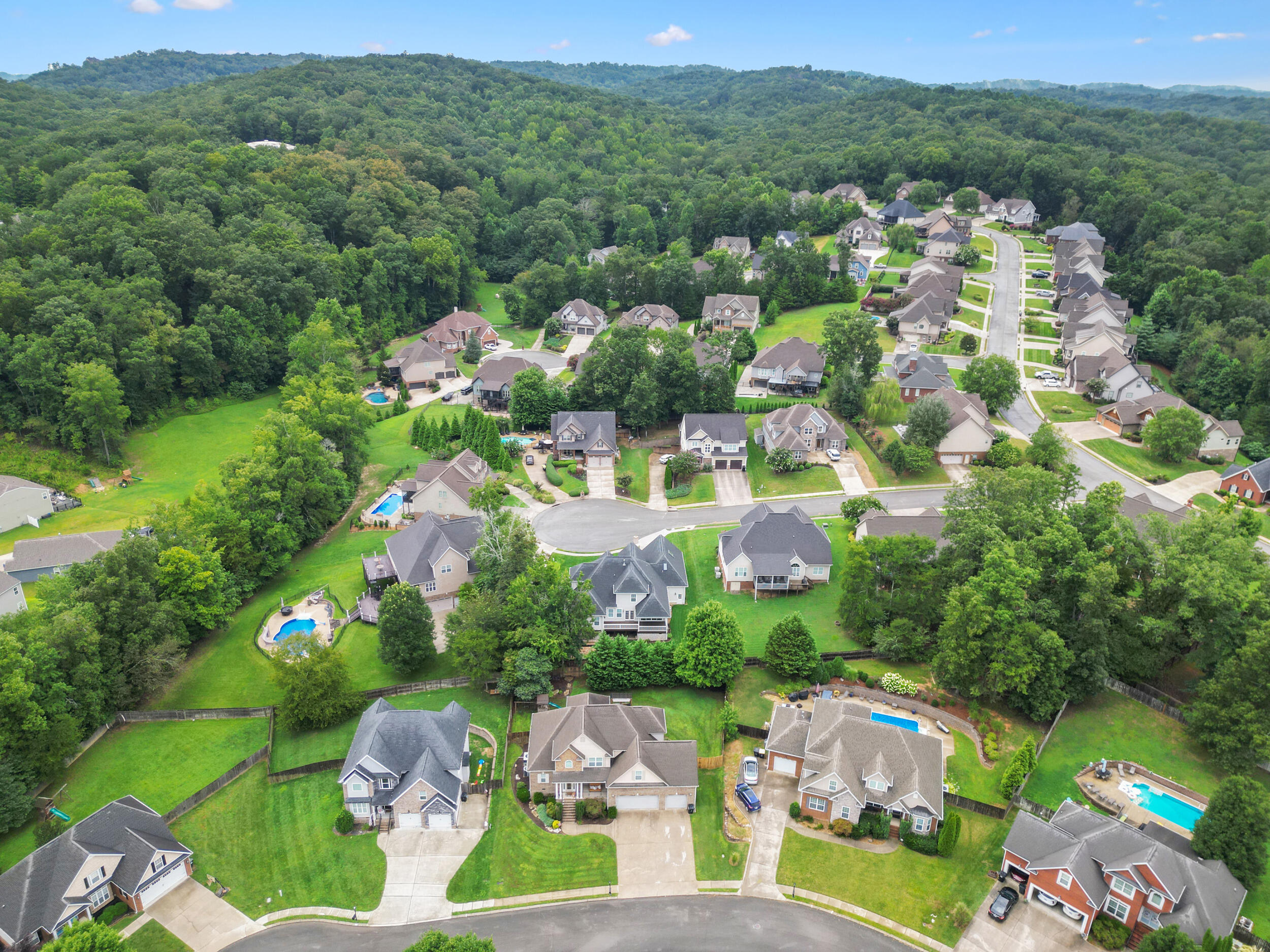 4138 Lone Elm Lane Apison, TN 37302 - Photo 37 of 38 DJI_0648