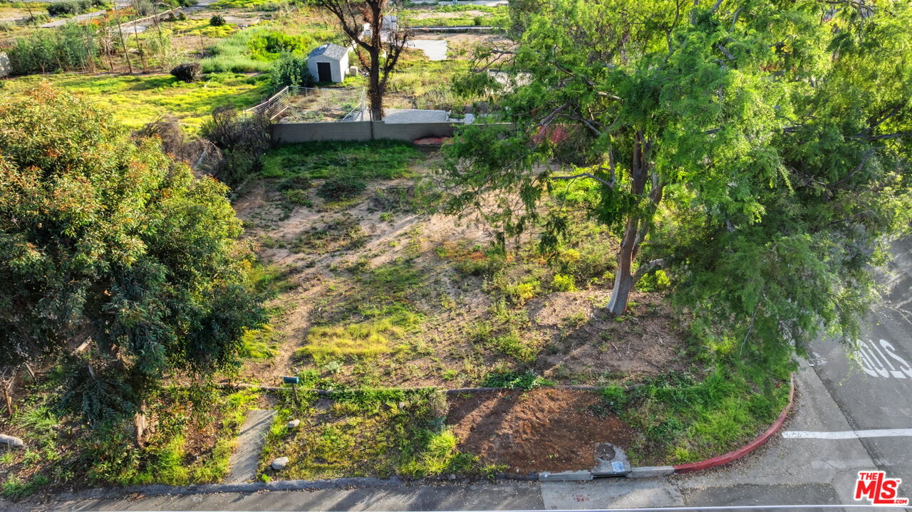 516 East Las Flores Drive Altadena, CA 91001 - Photo 3 of 6 a view of a garden with plants