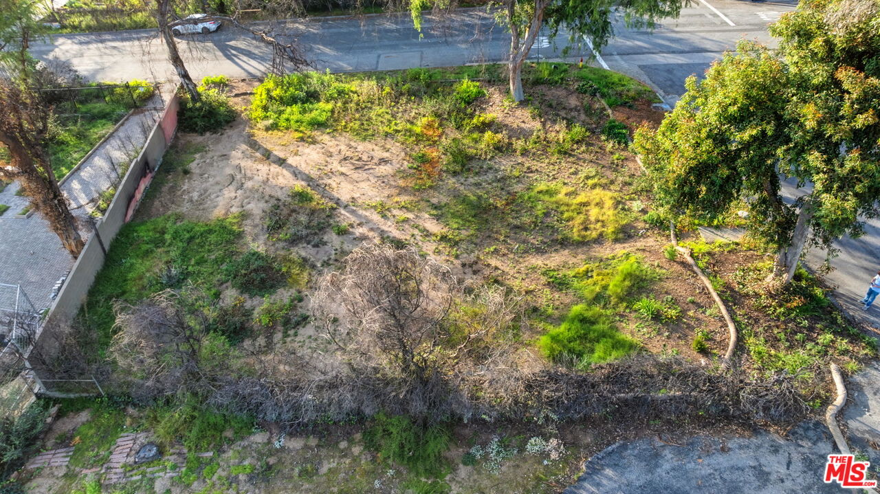 516 East Las Flores Drive Altadena, CA 91001 - Photo 5 of 6 a view of a garden with a bench