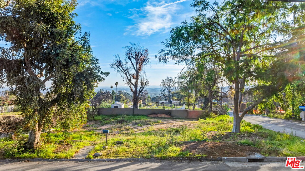 516 East Las Flores Drive Altadena, CA 91001 - Photo 6 of 6 a view of backyard with green space