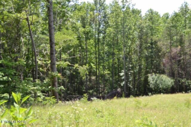 2390 Pea Ridge Fire Tower Road Celina, TN 38551 - Photo 12 of 58 DSC_0080