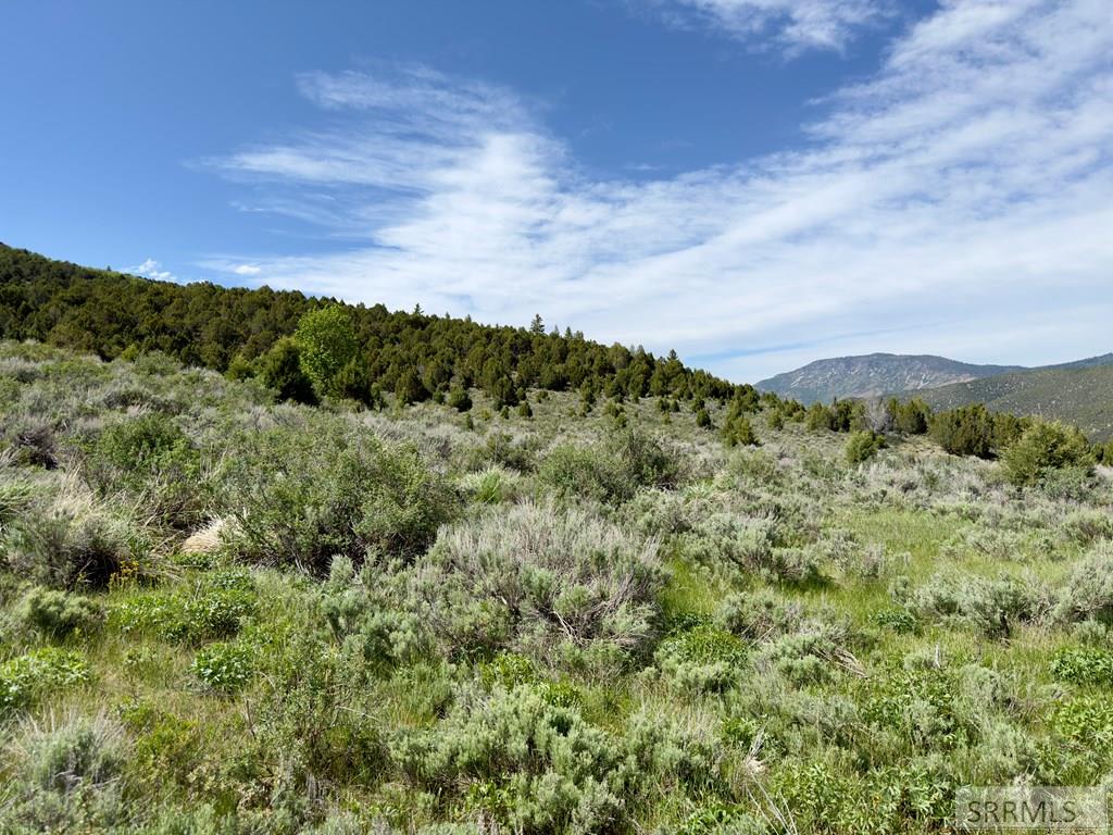 Tbd Fish Creek Road Lava Hot Springs, ID 83246 - Photo 29 of 44