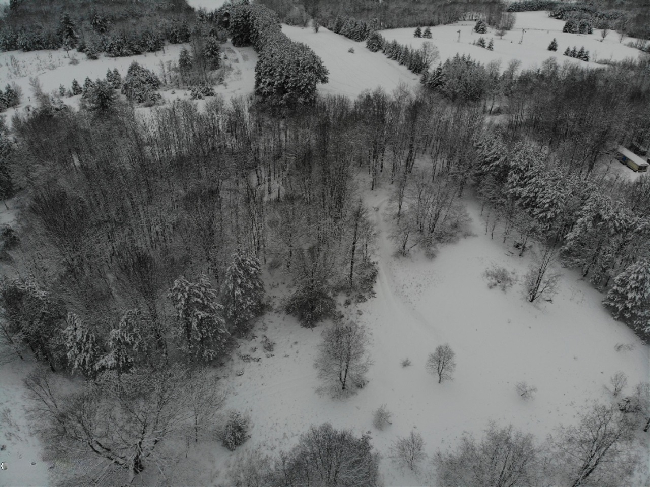 19 19 Mile Road Leroy, MI 49655 - Photo 29 of 30 Gallery Image 29