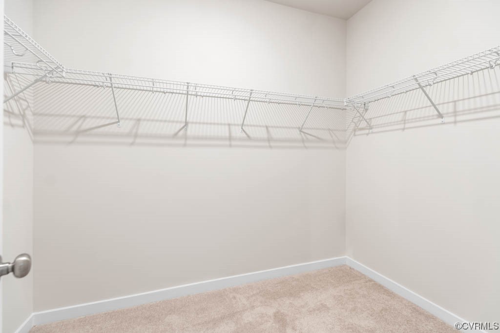 9206 Moldova Road Chesterfield, VA 23832 - Photo 20 of 40 a view of a rack