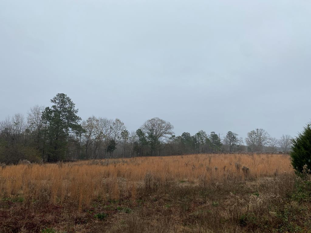 Lot 6 Temple Road Thomson, GA 30824 - Photo 2 of 8