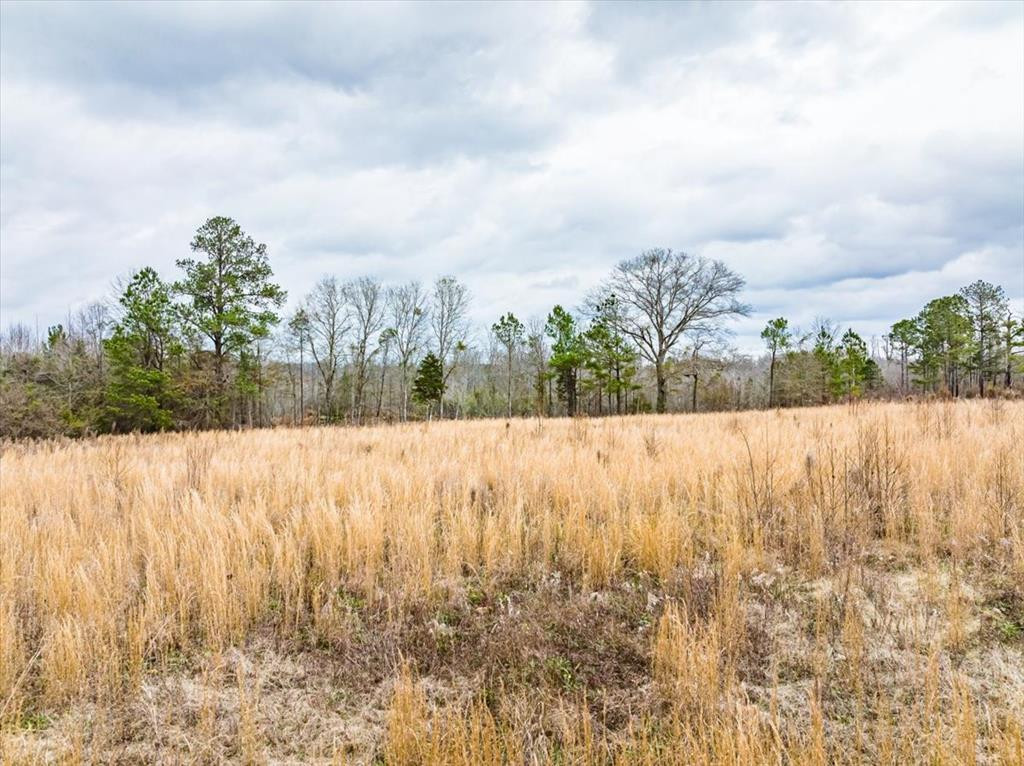 Lot 6 Temple Road Thomson, GA 30824 - Photo 3 of 8