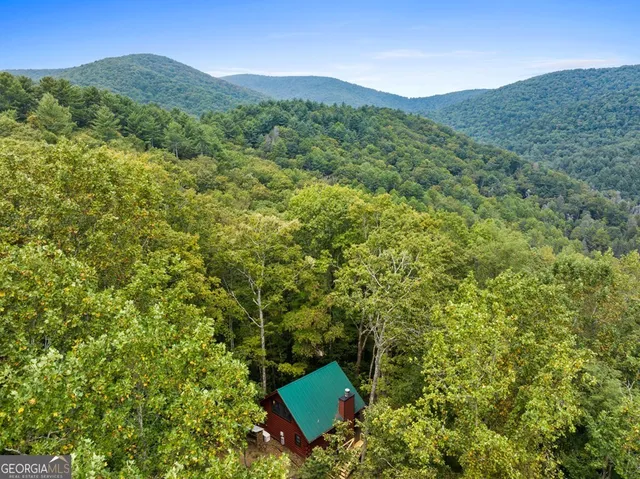 a view of a lush green forest with a house