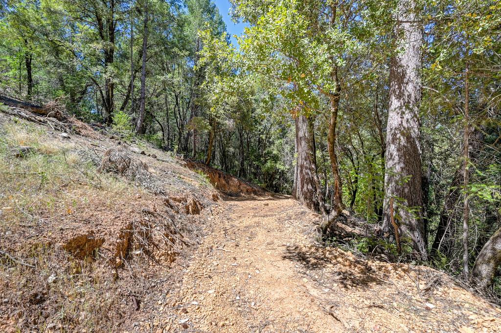 23505 Grand View Way Colfax, CA 95713 - Photo 22 of 32