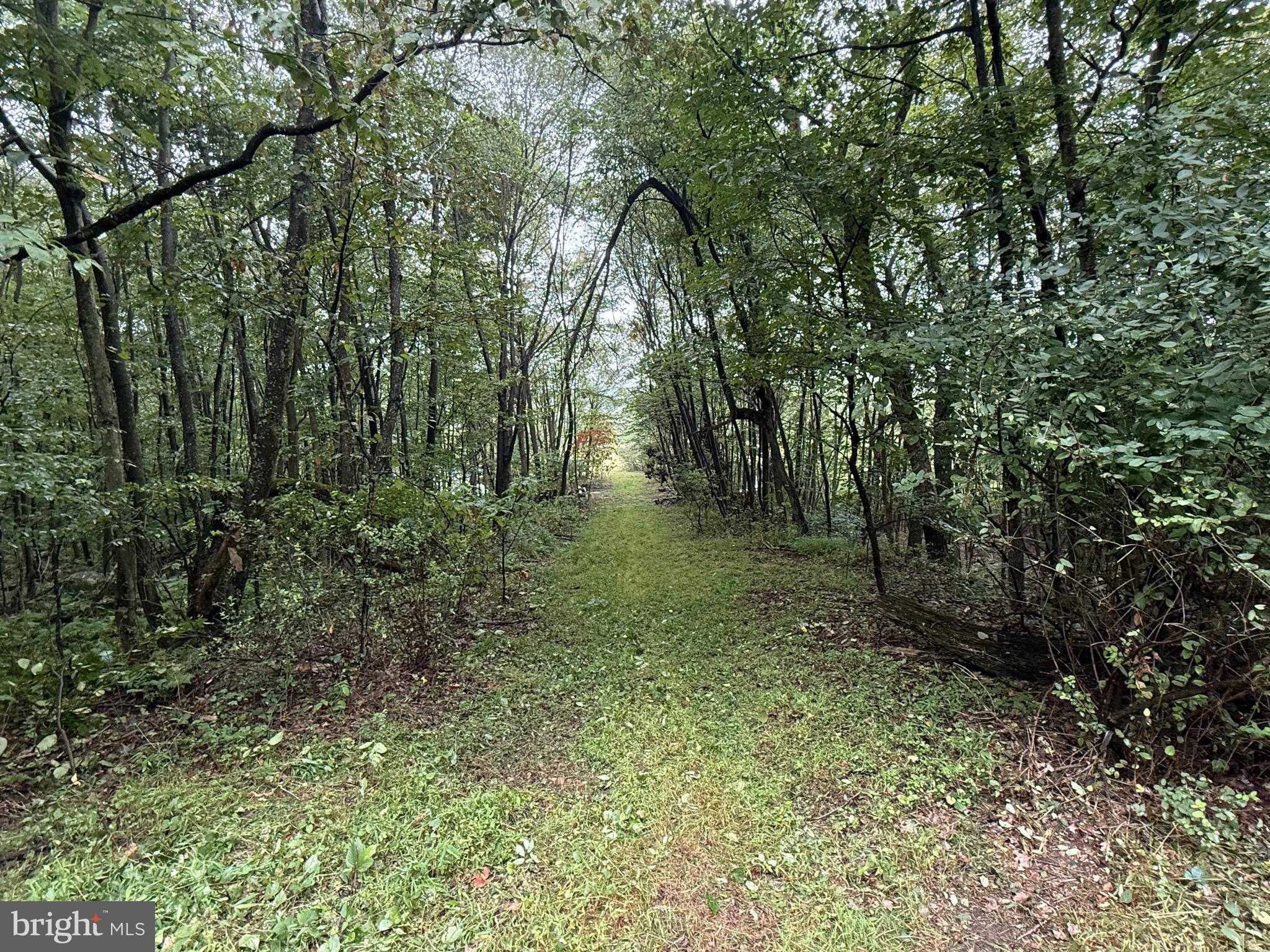 0 Pinnacle Road Keyser, WV 26726 - Photo 53 of 61