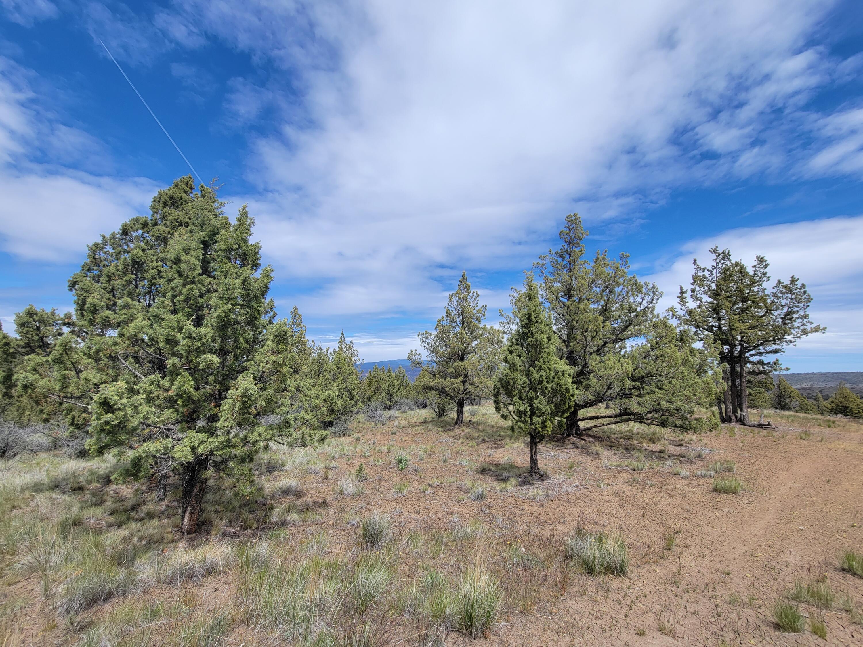 Osprey Road Prineville, OR 97754 - Photo 11 of 31 20220524_133700
