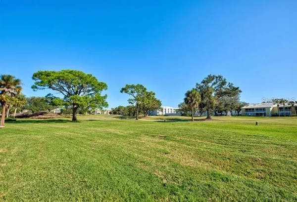 a view of a grassy field with trees