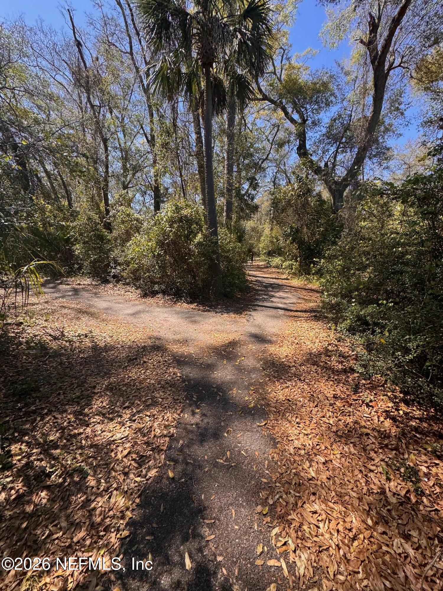 95608 Clearwater Road Fernandina Beach, FL 32034 - Photo 31 of 32 a view of a yard with a tree