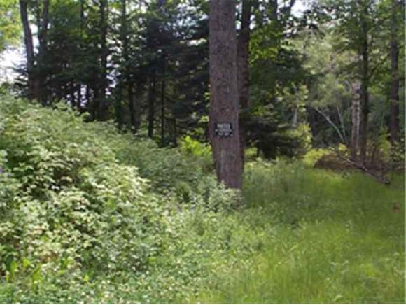 0 Mason Road Milan, NH 03588 - Photo 1 of 1