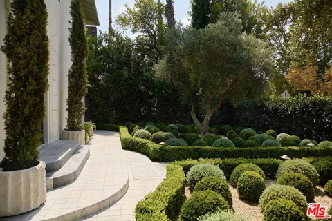 a view of a garden with plants