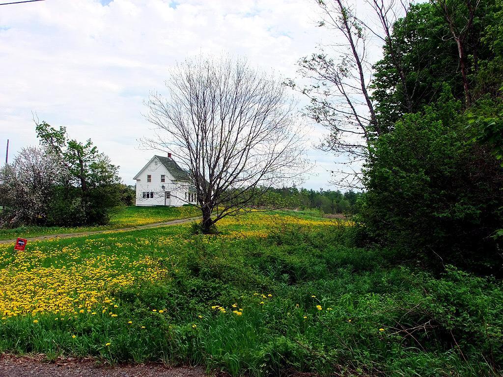 233 Moose Brook Road Houlton, ME 04730 - Photo 6 of 29 Photo