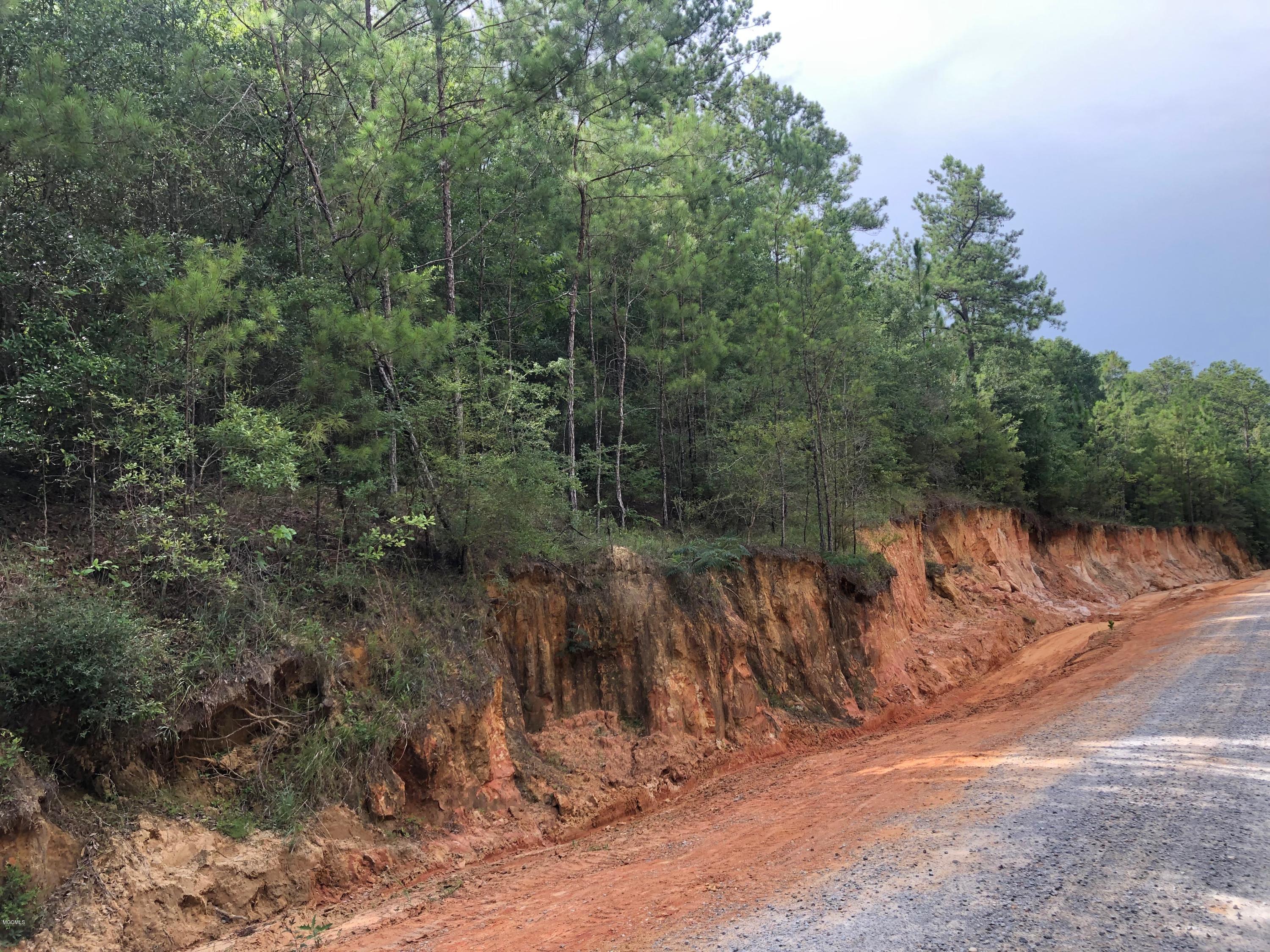 0 Ellis Road Pass Christian, MS 39571 - Photo 1 of 4 28JUN2019 - Pic #4 - 0 Off Bells Ferry R