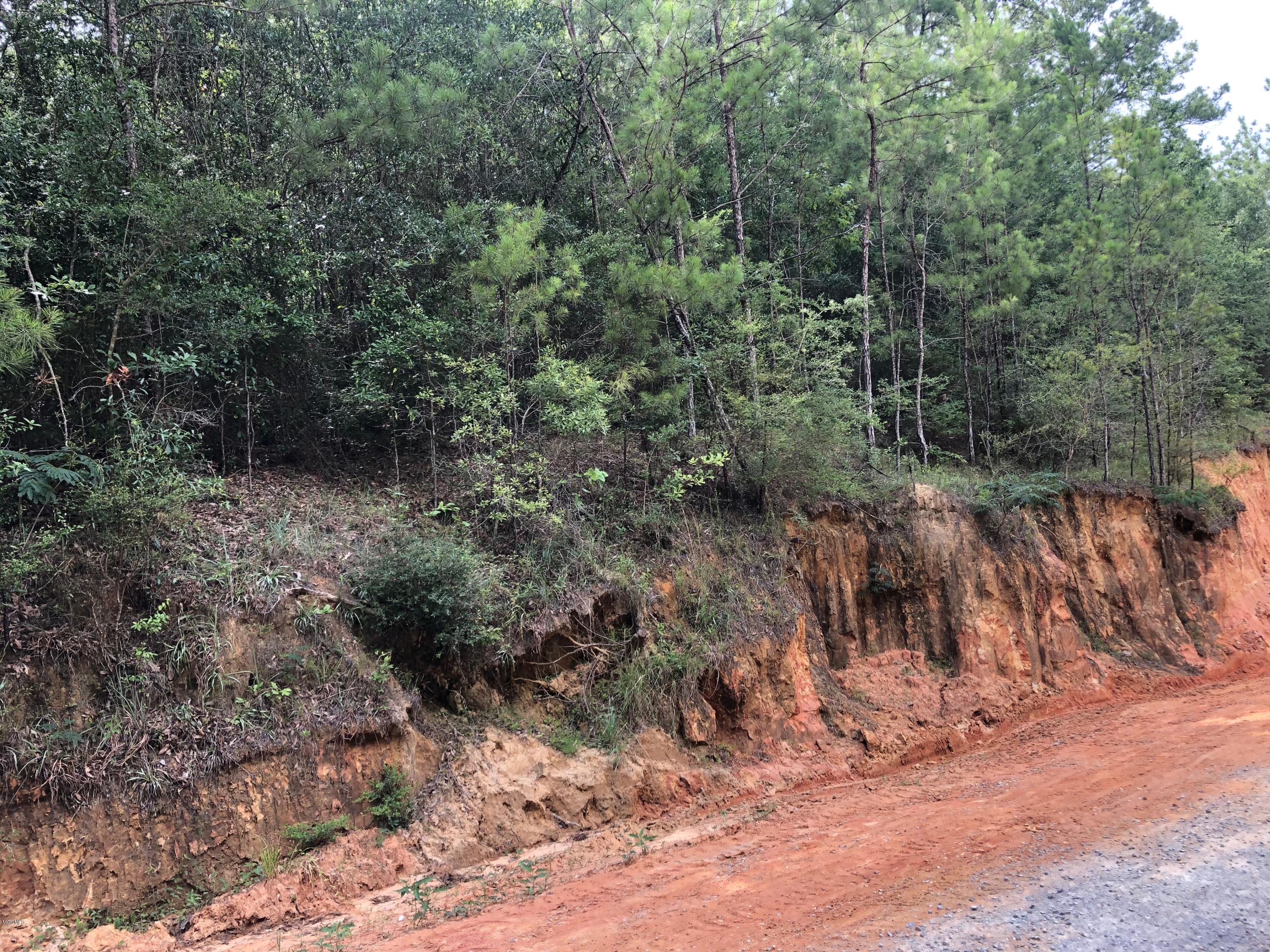 0 Ellis Road Pass Christian, MS 39571 - Photo 2 of 4 28JUN2019 - Pic #1 - 0 Off Bells Ferry R