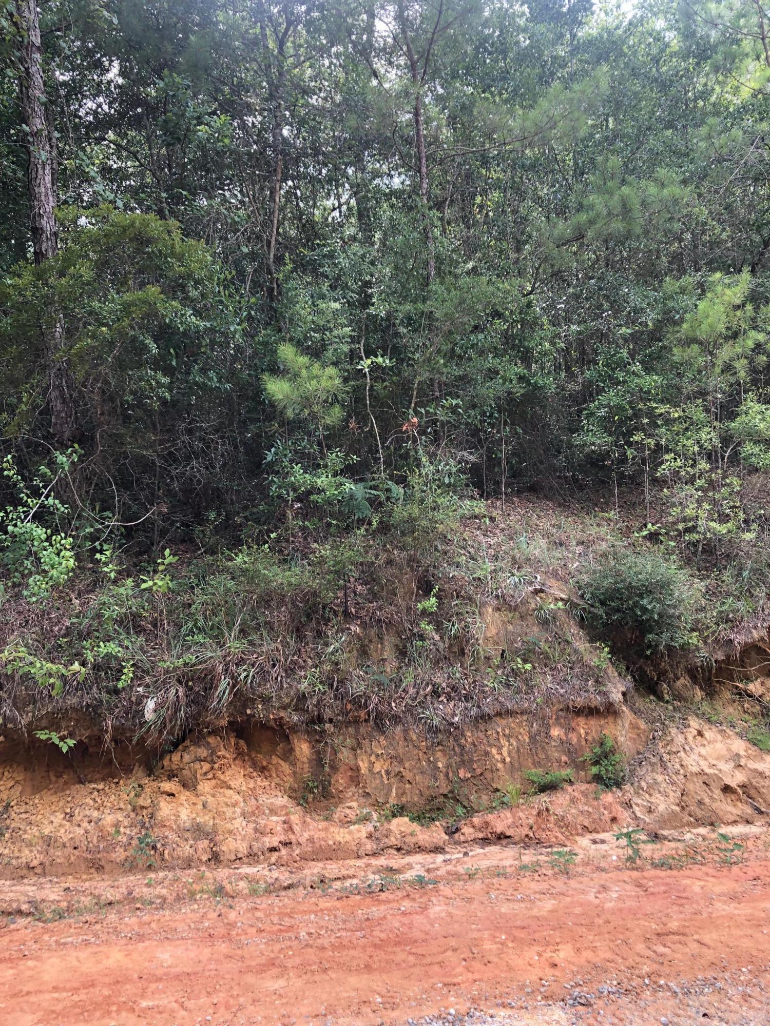 0 Ellis Road Pass Christian, MS 39571 - Photo 3 of 4 28JUN2019 - Pic #2 - 0 Off Bells Ferry R