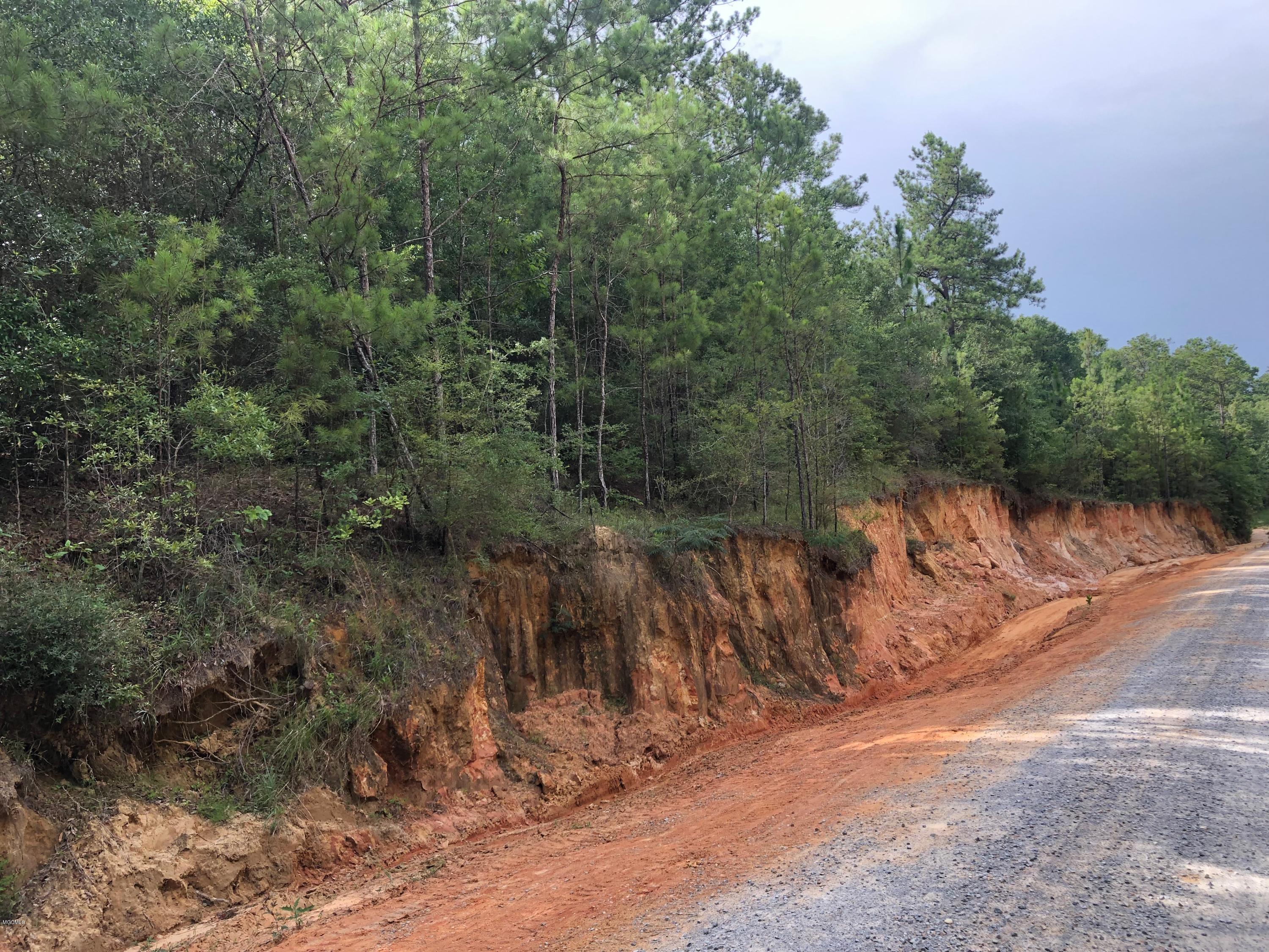 0 Ellis Road Pass Christian, MS 39571 - Photo 4 of 4 28JUN2019 - Pic #3 - 0 Off Bells Ferry R
