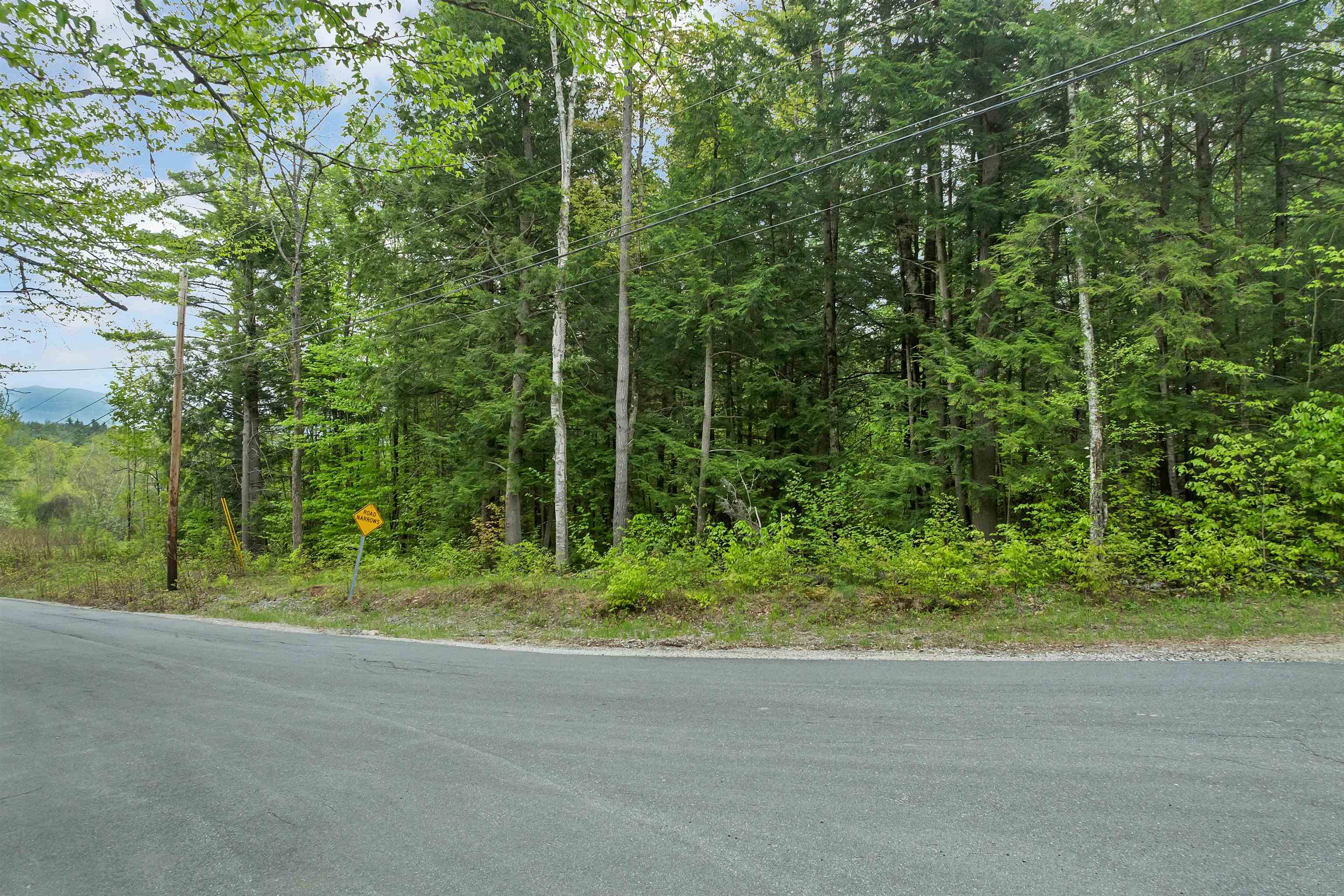 Streeter Woods Road Dorchester, NH 03266 - Photo 7 of 10