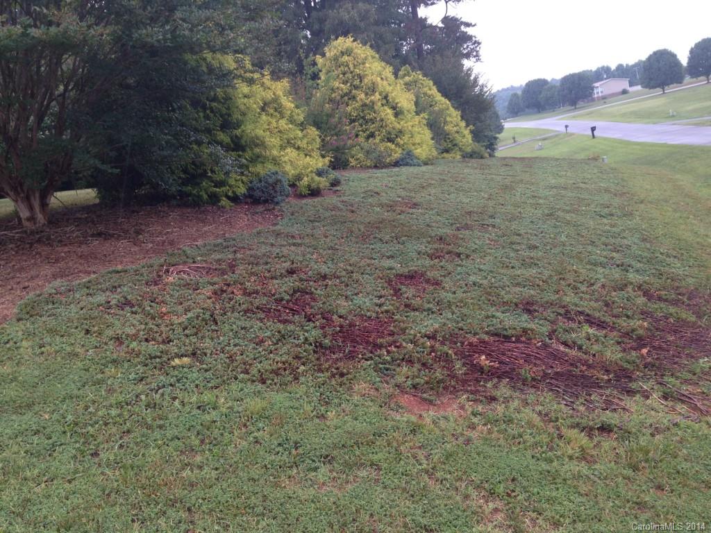 6183 Naked Creek Road, Unit 4 Conover, NC 28613 - Photo 23 of 23 Gallery Image 23