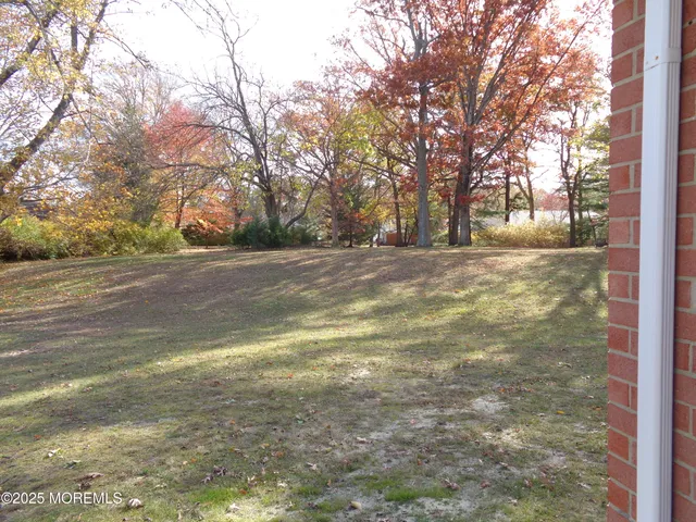 a view of a yard with large trees