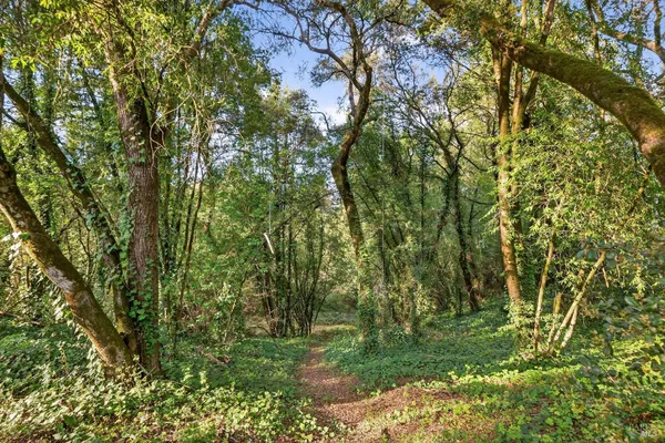 $1,545,000 | 1450 Timberhill Road, Santa Rosa, CA 95401
