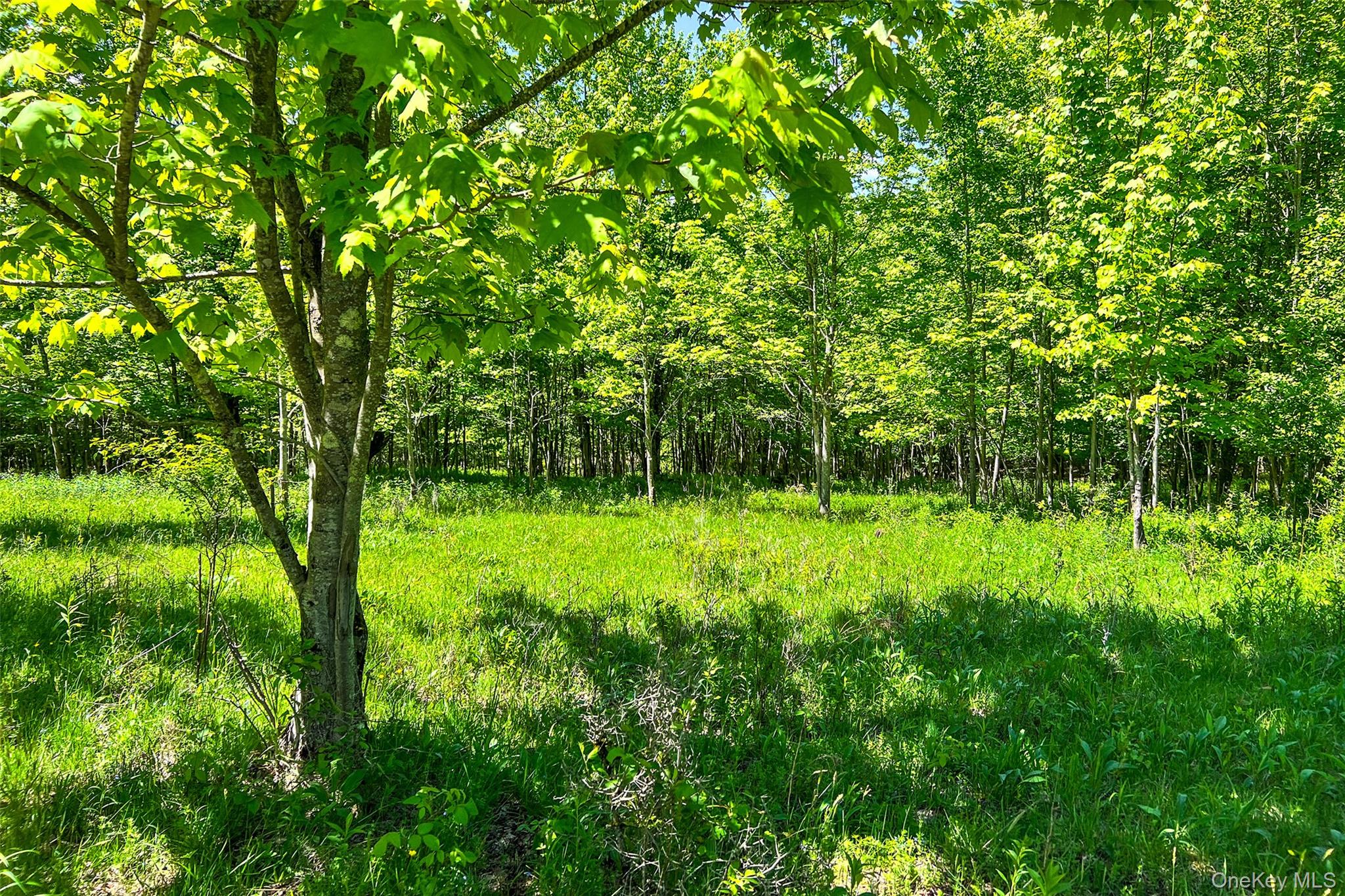 26 Federal Hill 2 Road Delhi, NY 13753 - Photo 16 of 50