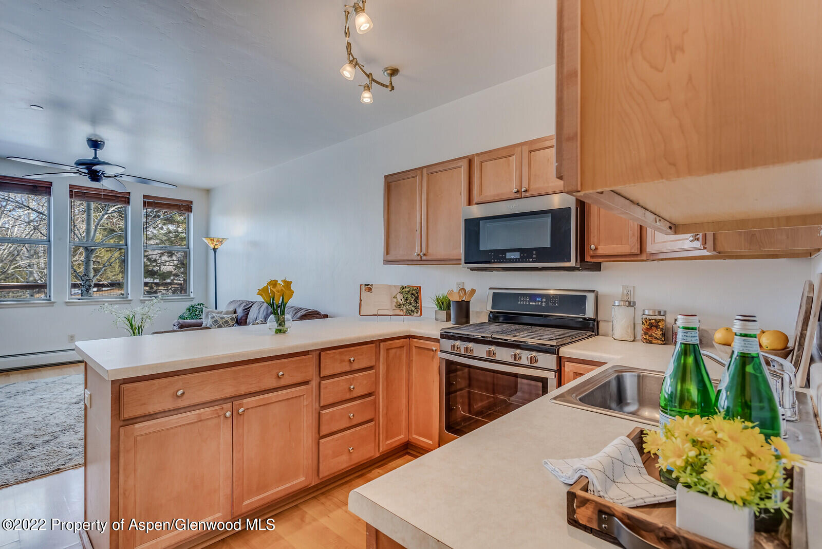 1320 East Valley Road, Unit 5 Basalt, CO 81621 - Photo 10 of 18 12_1320_E_Valley_Rd_5_Basalt_81621012_ml